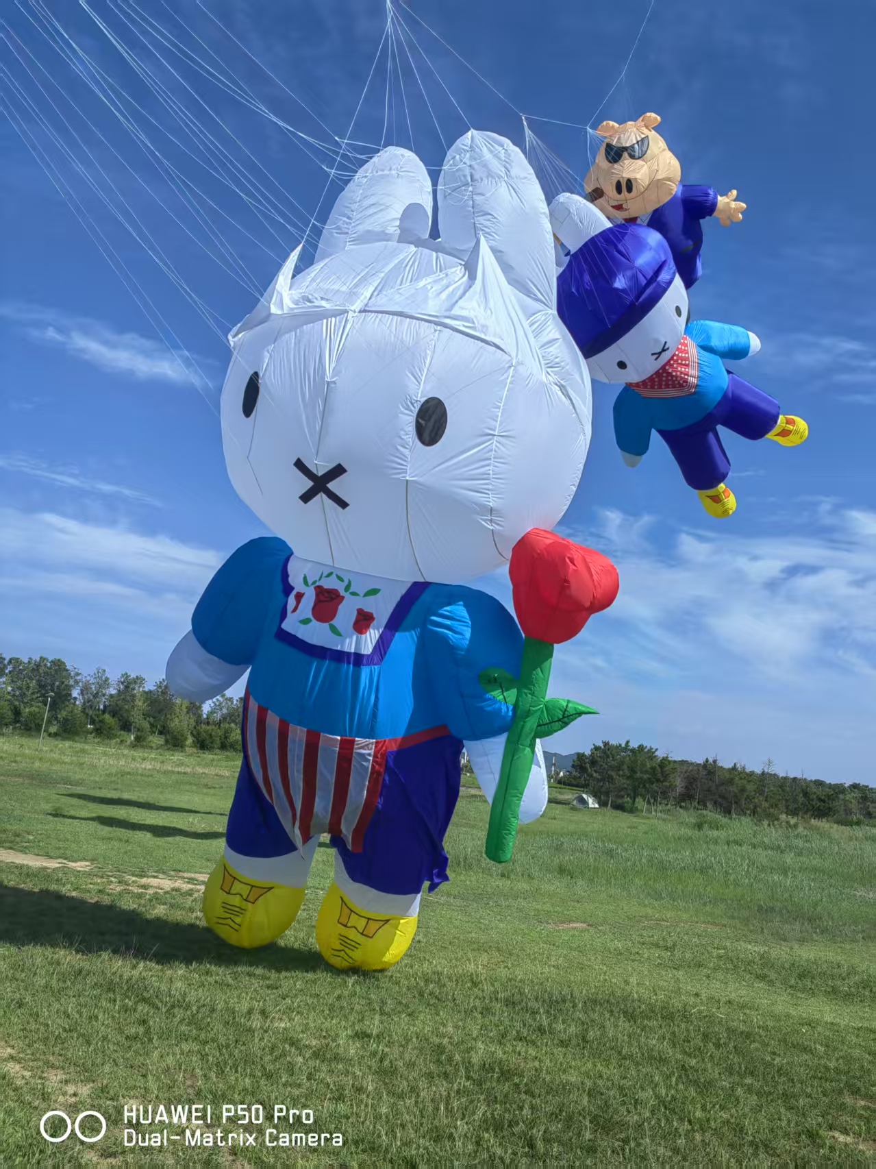 达州市儿童风筝定制风筝制作 - 排名